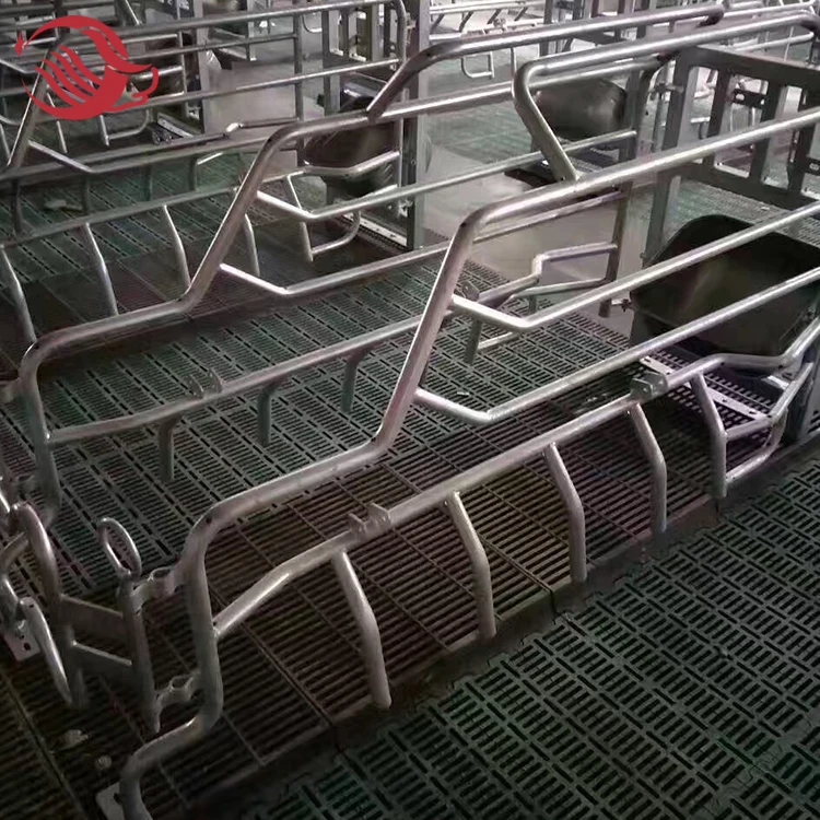 Hot dip galvanized customized size Sow farrowing cage for swine farm