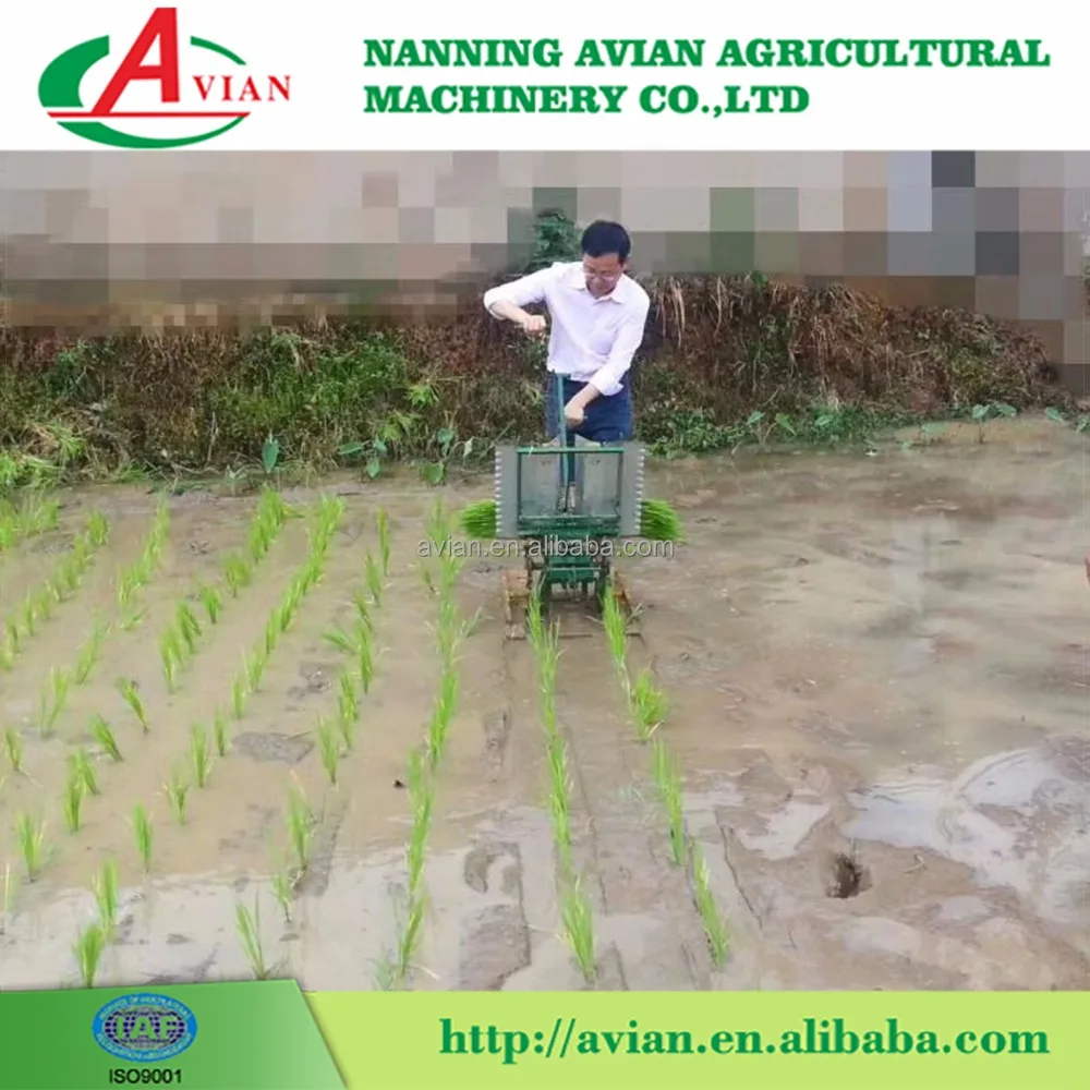 Hot Sale Good Farming Machinery Rice Planter price/Rice Planting Machine/Paddy Rice Transplanter