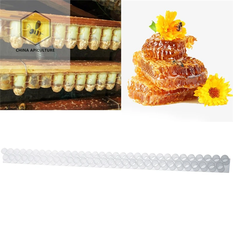 Beekeeping Tools Plastic Queen Bee Double Cell Bar Strip Set Base 33/66 Holes