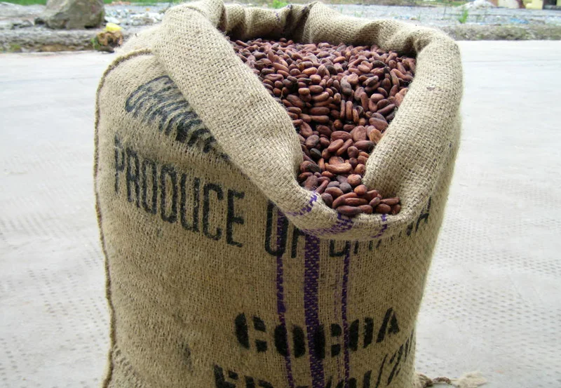 
price of cocoa liquor for chocolate production 