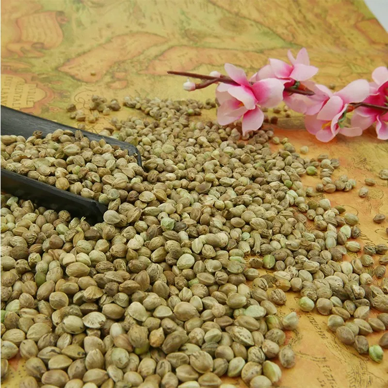 
High Quality bird feeding hemp seeds for sale,price of hemp seeds bulk sales bird seed 