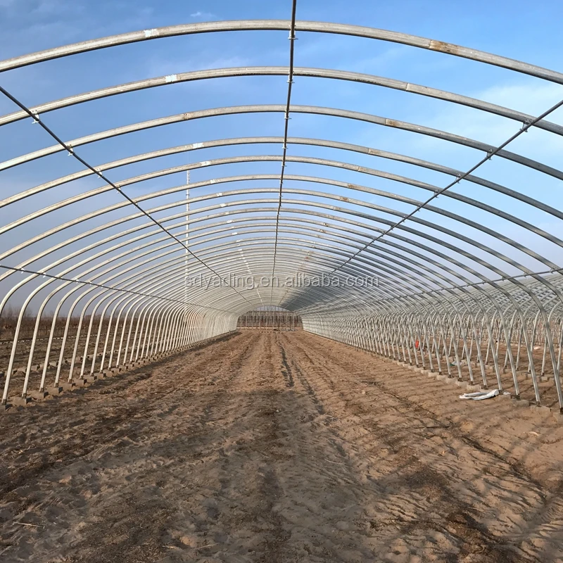 Cheap agriculture multispan greenhouse, tunnel greenhouse for cultivation