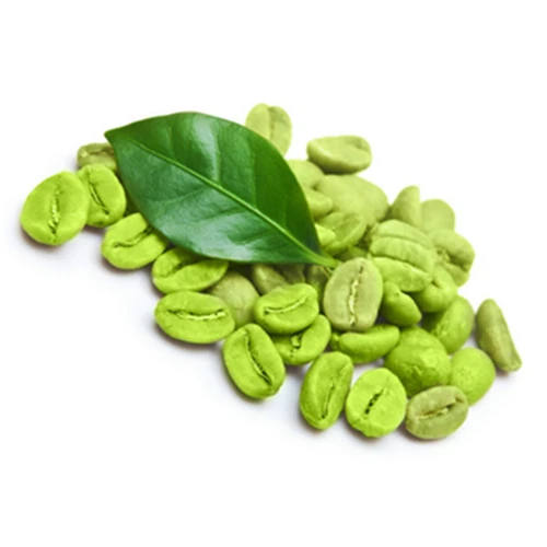 Factory Bulk Price Pure Green Coffee Bean Extract Powder Chlorogenic Acid