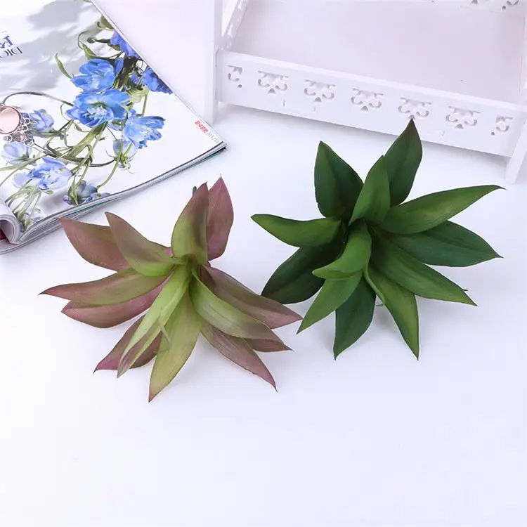 
Best selling unique design living room decorations cactus and succulents 
