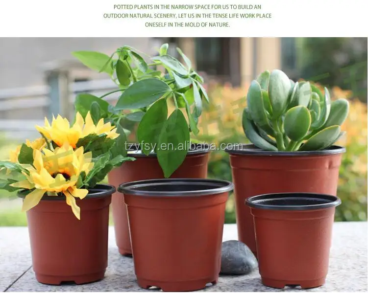 China supplier factory plastic pots for greenhouse nursery plant