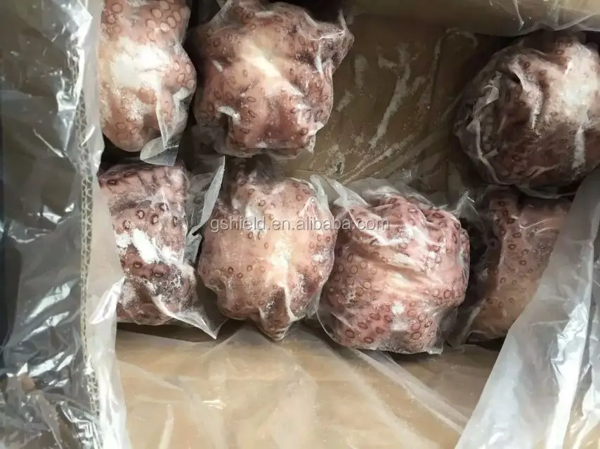 
Good quality cheap price IQF Frozen baby octopus for sale 