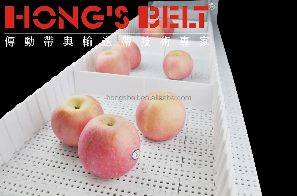 Modular Conveying Belt for Fruit Inclining Conveyor Plate Top Plastic Straight Conveyor Food and Non-food Industry HONGSBELT 15%