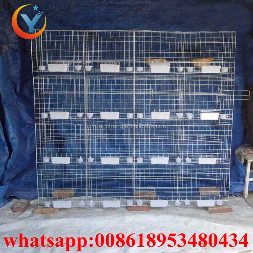 chicken cage quail cage design pigeon coops pigeon breeding cage for sale