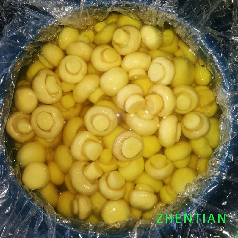 
Champignon mushroom in drums 