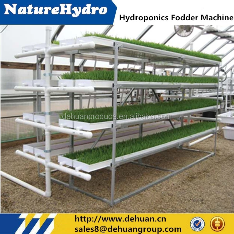 Hot sale commercial bean sprout machine /hydroponic fodder machine in greenhouse