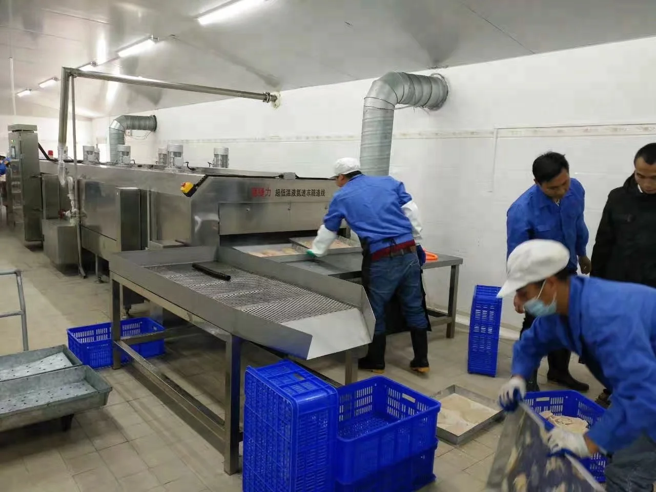 DJL tunnel industrial freezer/iqf freezing tunnel