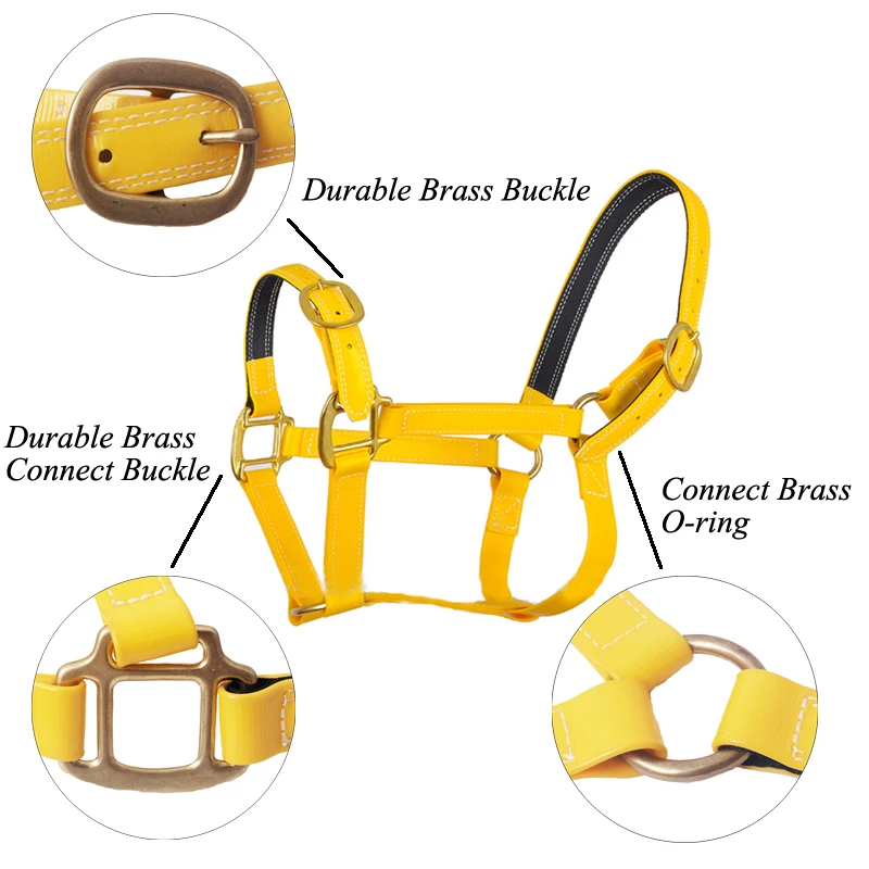 Arabian Design Your Own Waterproof PVC Leather Grain Padded Miniature Horse Show Halter Manufacturer