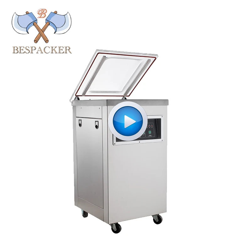 Bespacker vacuum packing package bg machine sealer for food