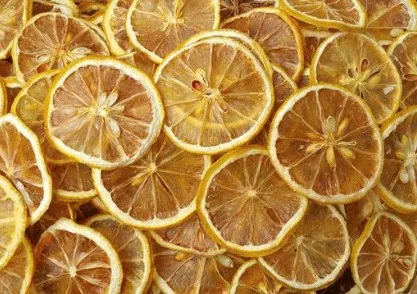 30kg/time 100kg/time fruit and vegetable dryer fruit dryer machine hot on sale