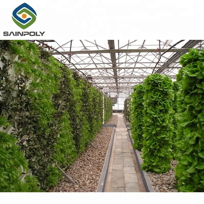 Гидропонная система для теплиц из многопролетного стекла