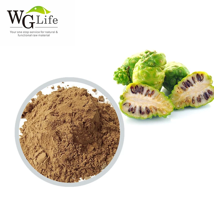 Hot Product Morinda Citrifolia Noni Dried Concentrate Juice Powder Plant Extract