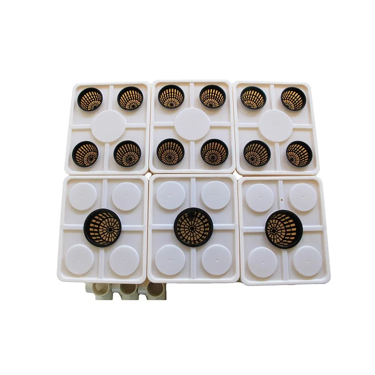 Dutch Bucket Hydroponics Farming for Growing Plants in Buckets