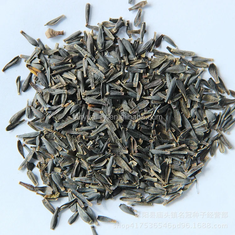 Высокий уровень прорастания, красивые красные семена карлика Далии для посева