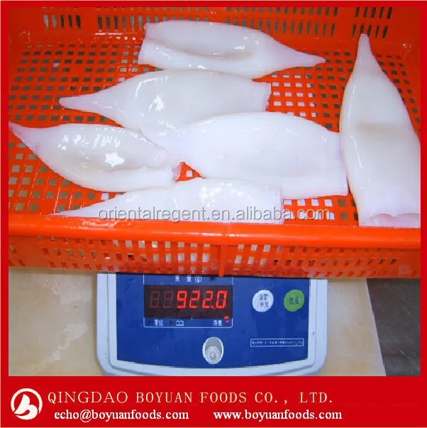 
exporting block frozen squid tube chinese factory 
