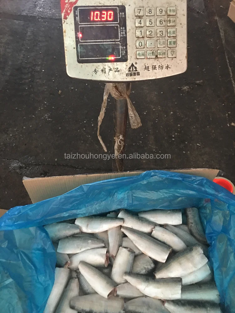 
frozen sardine HGT sardinella longiceps for canning and market 