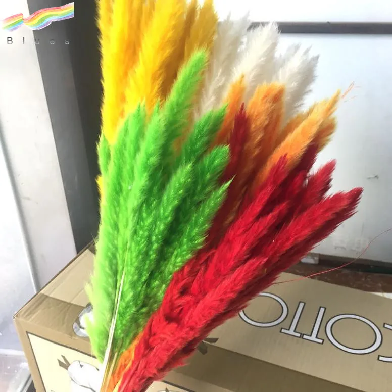 High Quality Dried Small Pampas Reed Grass Phragmites Wedding Home Decor Flower Bouquet Set of 15pcs