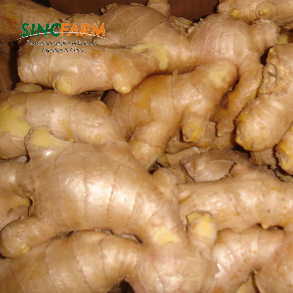 Черный китайский свежий имбирь, цена