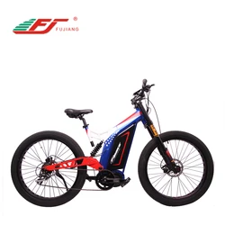1000w mid drive 2019 best dasigned high quality fat tire electric mountain bike