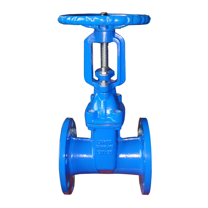 ductile iron rubber lined wedge gate valve for water size DN50 to DN600 PN10 16,professional valve factory,competitive price
