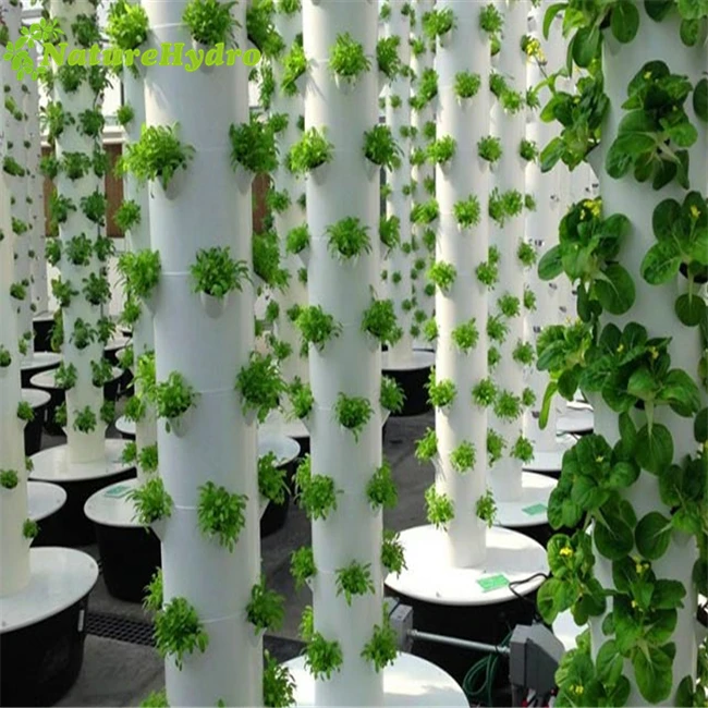 Commercial greenhouse aeroponic tower garden vertical farming