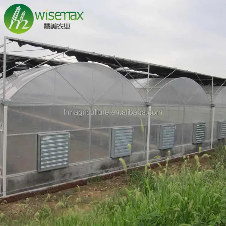 Commercial aluminum low cost agricultural greenhouse garden greenhouse agricultural