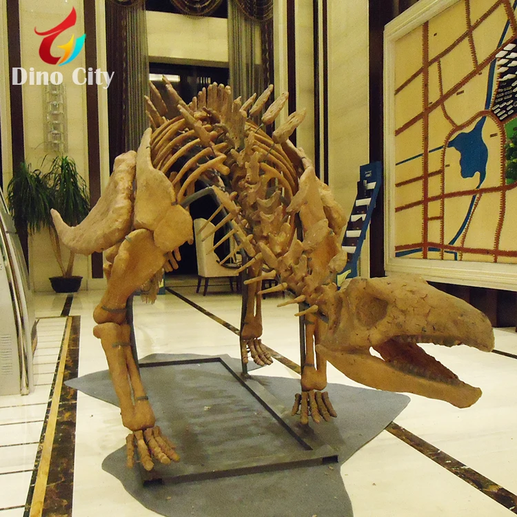 Museum Decorative Dinosaur Fossils Model for Sale