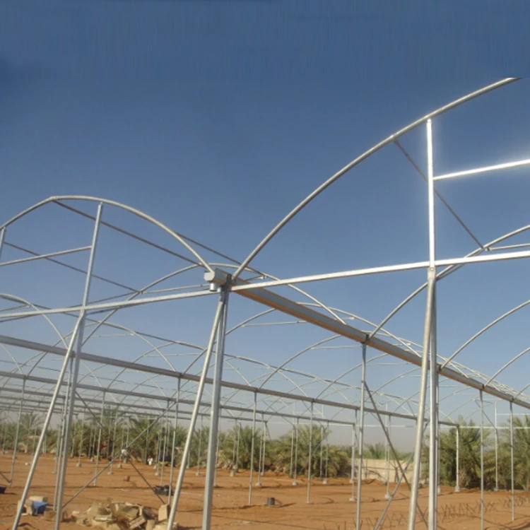 Low Cost Fixed Poly Tunnel Seed Greenhouse For Vegetable