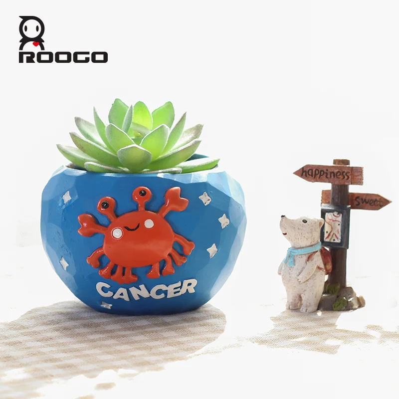 Roogo twelve constellations flower planter pots