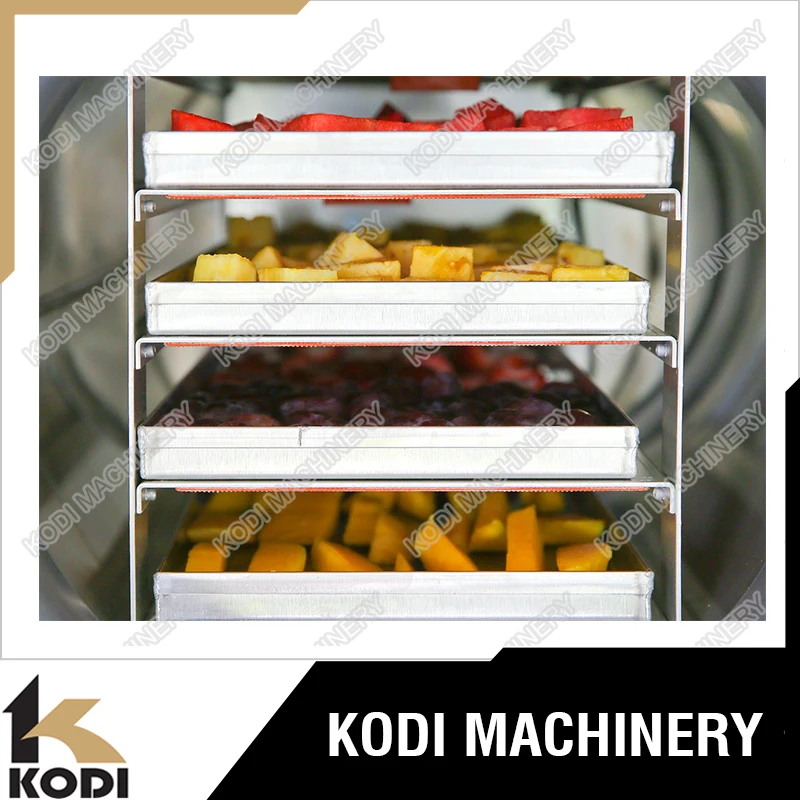 Food Industry Mini Vacuum Freeze Dryer For Home or Lab Use