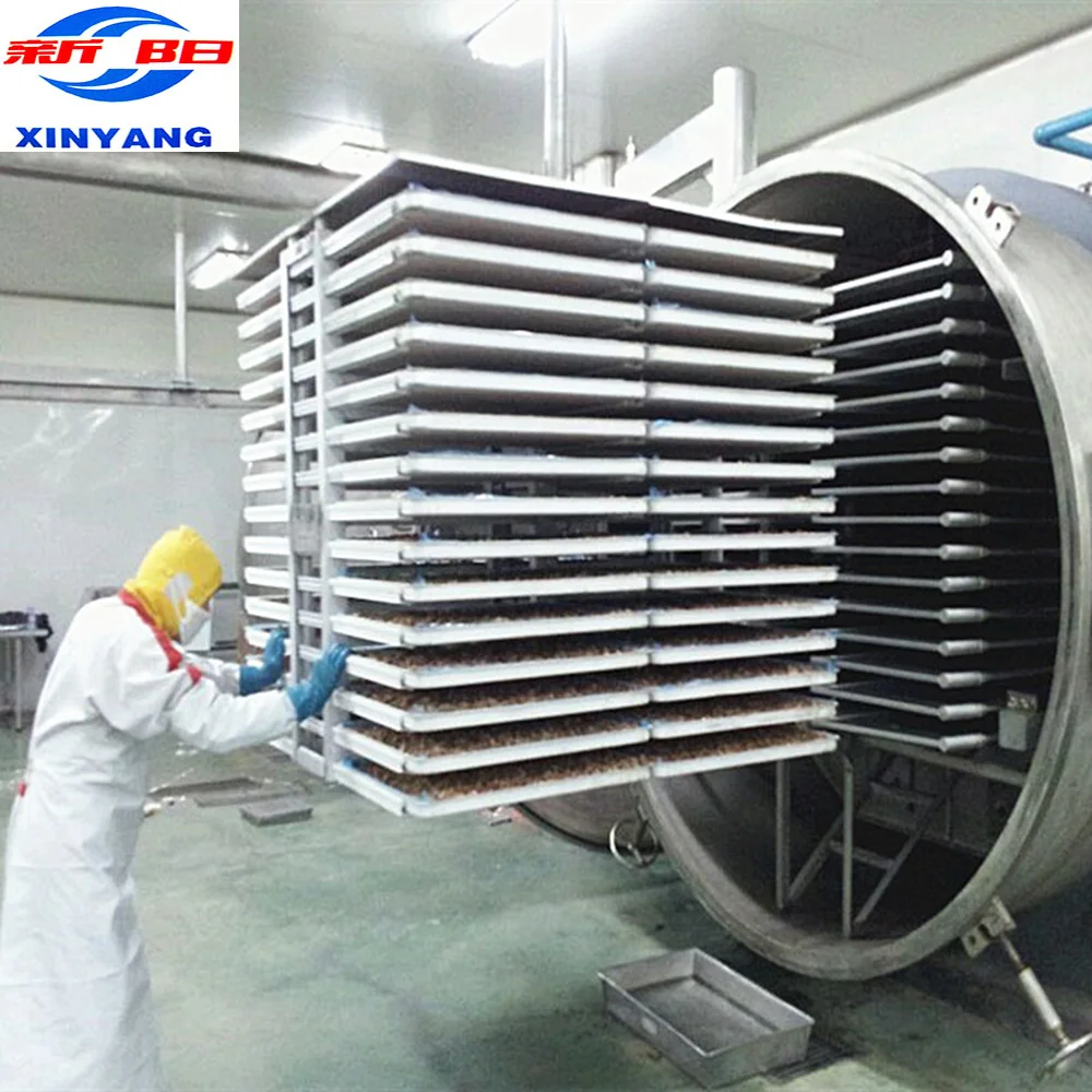 Xinyang 1500KG freeze dryer For Food fruits vegetable and Lyophilizer Machine Price industrial freeze dryer