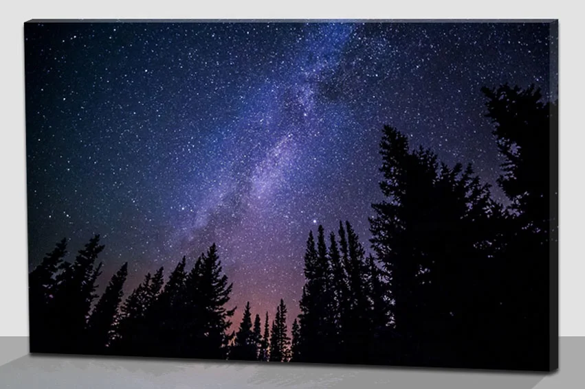 Forest night sky LED canvas new painting, wood frame home wall decor with twinkling star