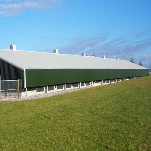 Prefabricated steel structure poultry breeder chicken house design drawing