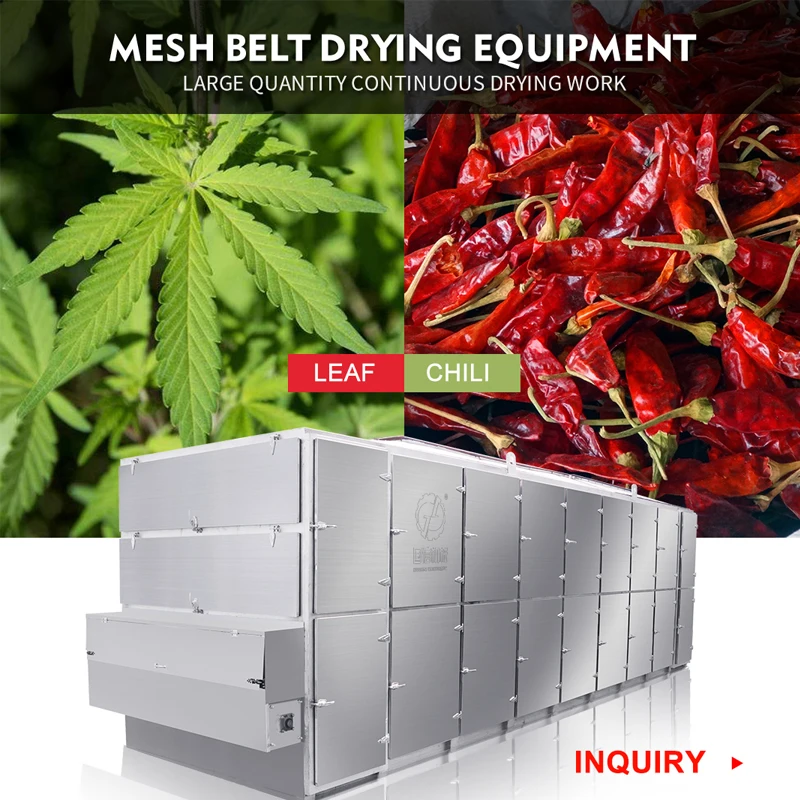 
Hemp hot air drying machine with Industrial stainless steel continuous herbs mesh belt drying machine 