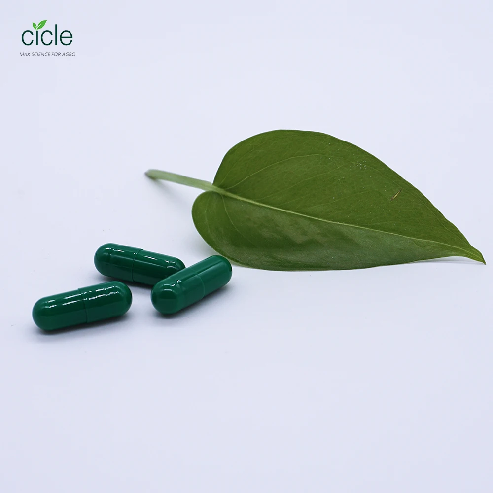 Easy transport Capsule Pellet packing 28-Homo-brassinolide 0.1% WDG