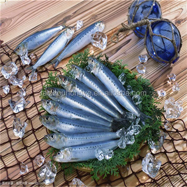 Good Price Frozen HGT sardine for good sale