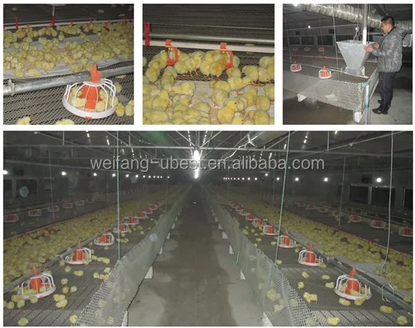  Фабрика автоматическое оборудование птицефабрика подойдут большие фермы