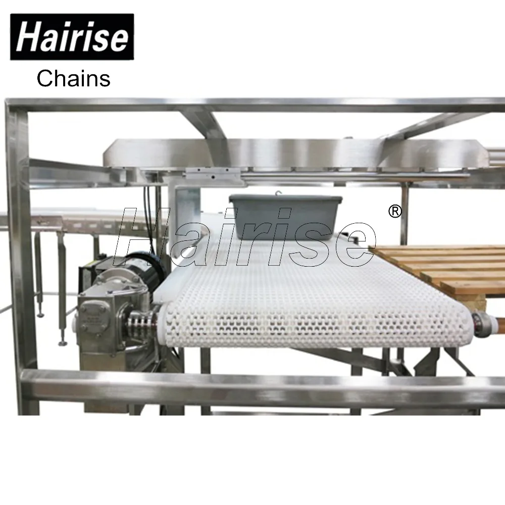 Plastic Chain Conveyor Plate /Conveyor transmission chain