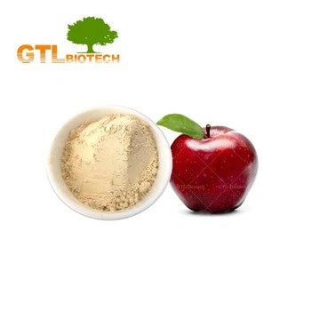 
Best Price Dietary Apple Fiber Powder from Apple Extract 