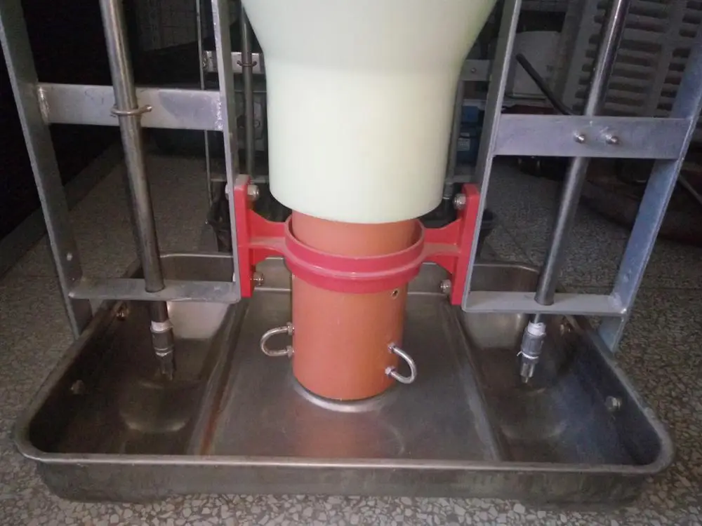 
automatic pig feeding equipment pig feeder 