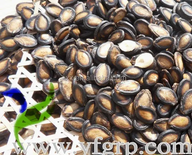 Watermelon seeds kernel dry in the sun hybrid watermelon seeds price