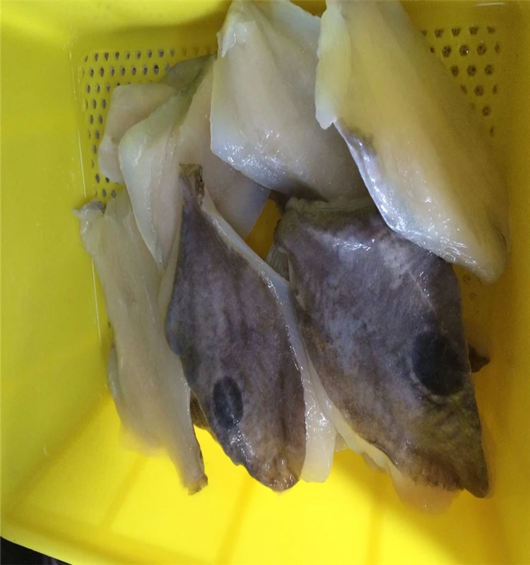 
Fresh frozen John dory fish fillet 