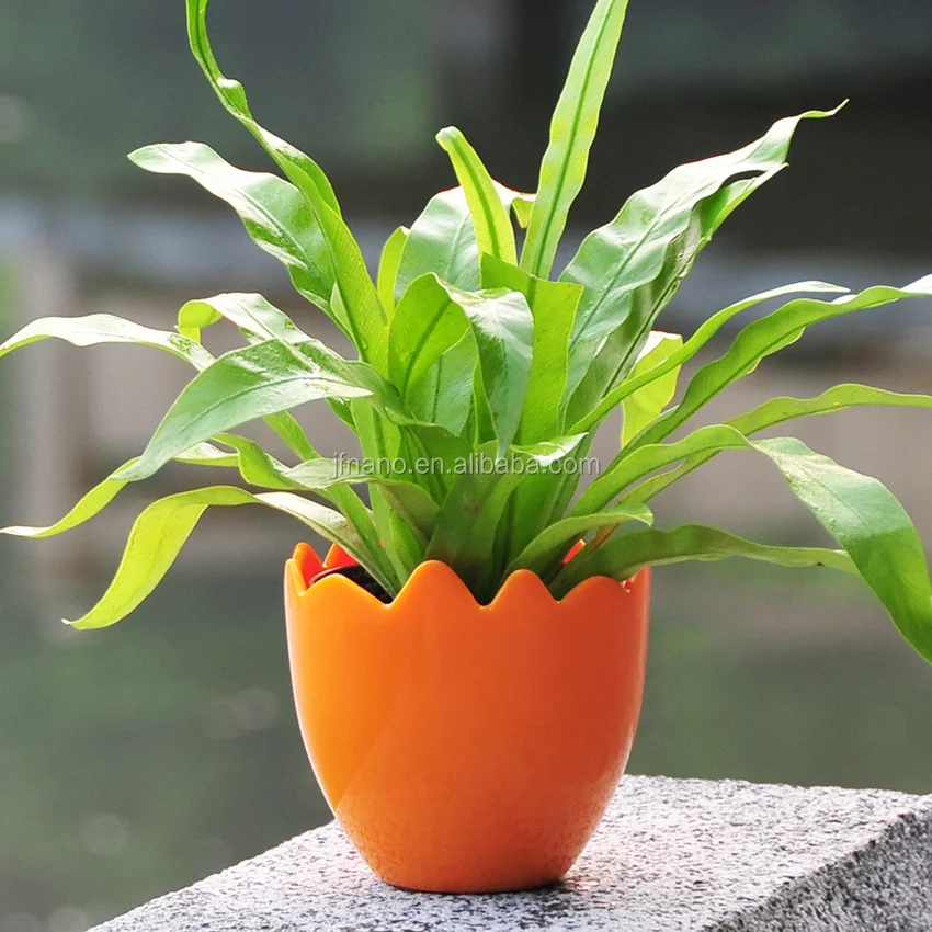 Garden supplies attractive colorful plastic wholesale flower pots