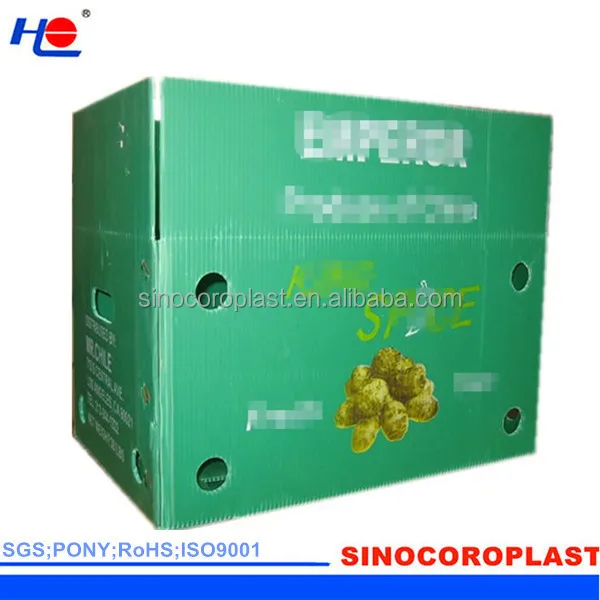 Fruit Packing Corrugated PP Plastic Flute Box