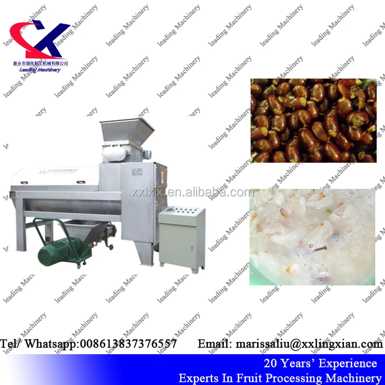 Fresh Litchi (lychee) Fruit 2-3t/h Automatic Litchi Juice Making Machine Lychee peeling and pitting machine