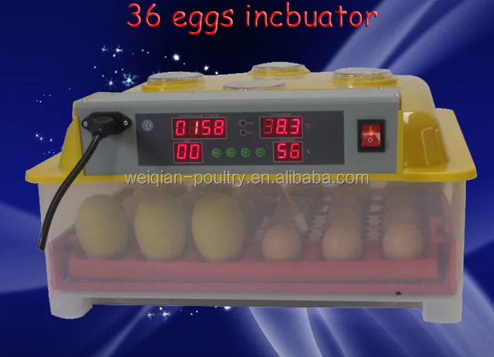 36 chicken egg mulit-bird egg tray incubator price in Uganda for sale WQ-36
